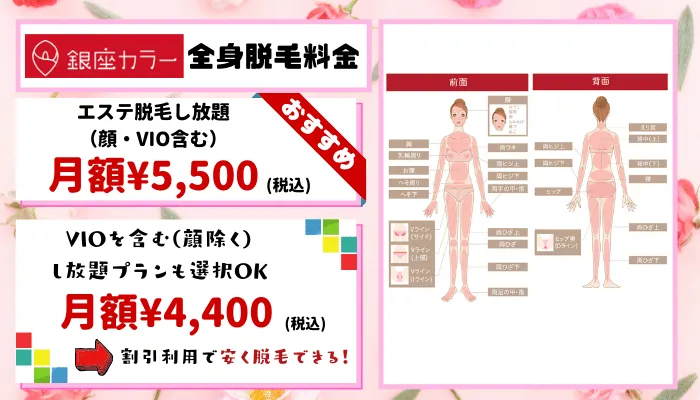 全身脱毛銀座カラー料金紹介し放題