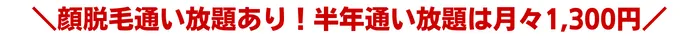 ストラッシュ顔脱毛比較おすすめポイント