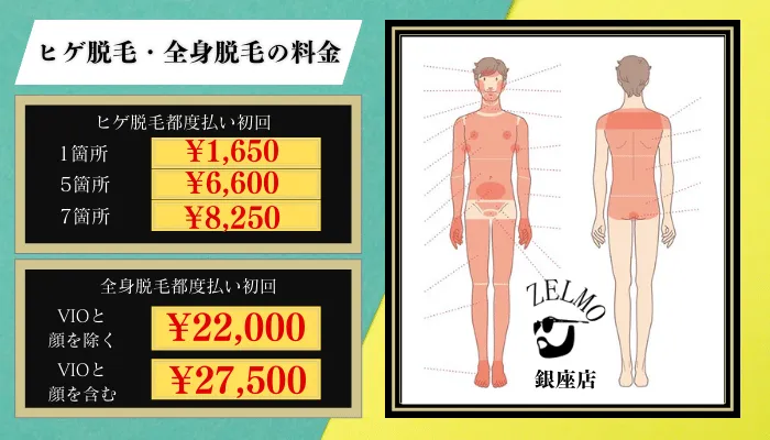 ゼルモ銀座脱毛料金比較