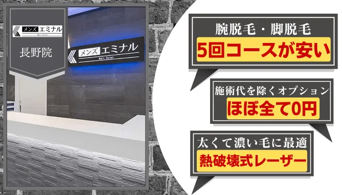 メンズエミナル長野比較腕・脚