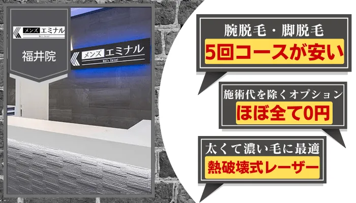 メンズエミナル福井比較腕・脚