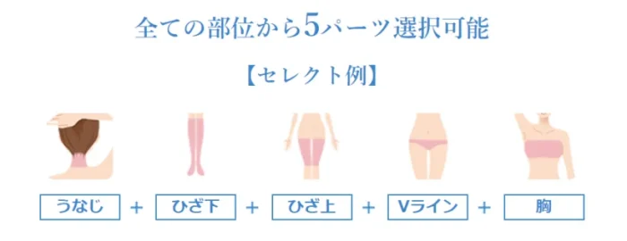 セレクト脱毛