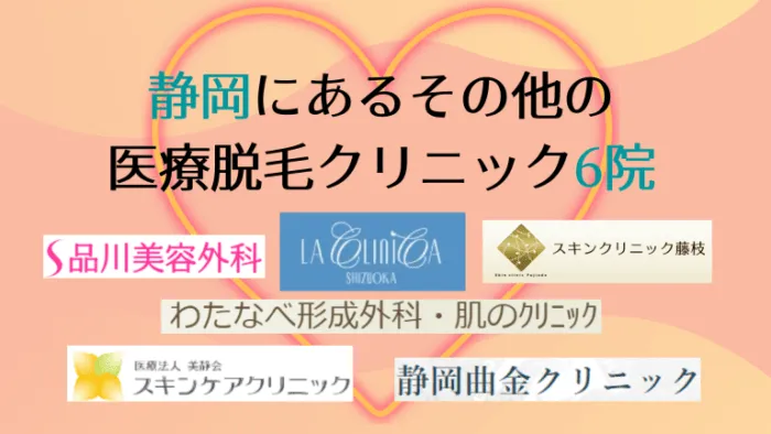 静岡にあるその他の医療脱毛クリニック6院