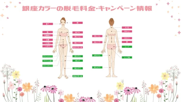 銀座カラー脱毛料金＆キャンペーン情報