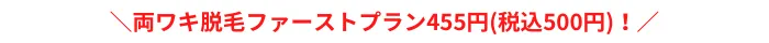 エピレ両ワキポイント