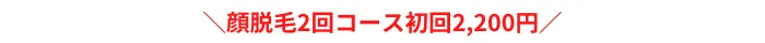 ジェイエステティック顔おすすめポイント税込