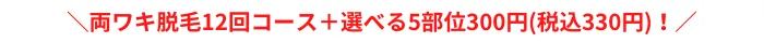 ジェイエステティック両ワキポイント