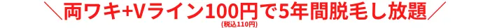 両ワキVライン100円税込110円で5年間脱毛し放題宇都宮