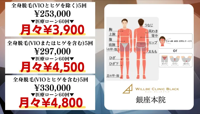 ウィルビークリニックブラック新橋比較料金全身