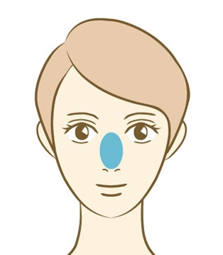 鼻