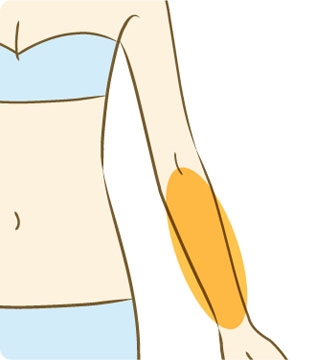 前腕