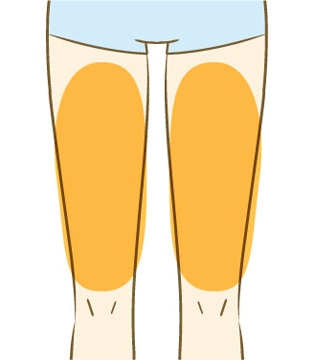 大腿
