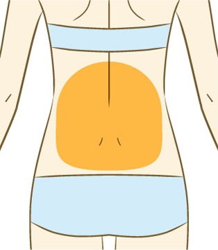 背中(下部)前腕