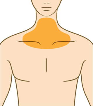 Vライン首（鎖骨含む）