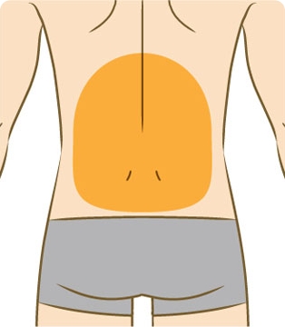 胸背中（下部）