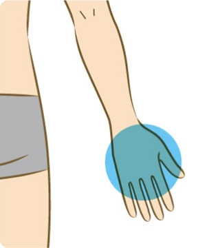 手の甲・指