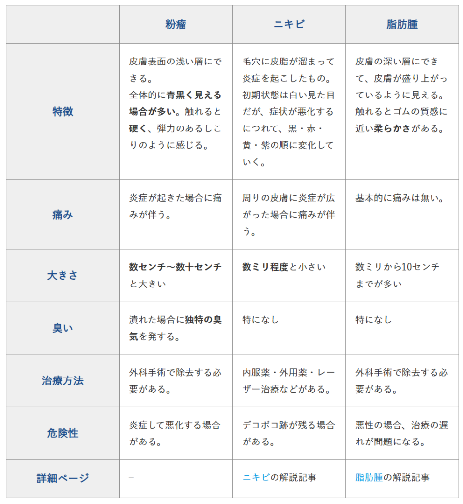 粉瘤が出来やすい人の特徴とは？ニキビとの違いや手術費用・再発防止策を徹底解説(01)